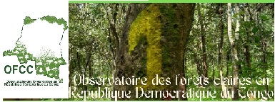 Observatoire des forêts claires en R.D. Congo