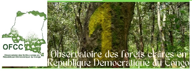 Observatoire des forêts claires en R.D. Congo