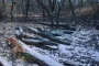 Haut-Katanga : les forêts communautaires pour sauver le bois rouge de l’extinction ?